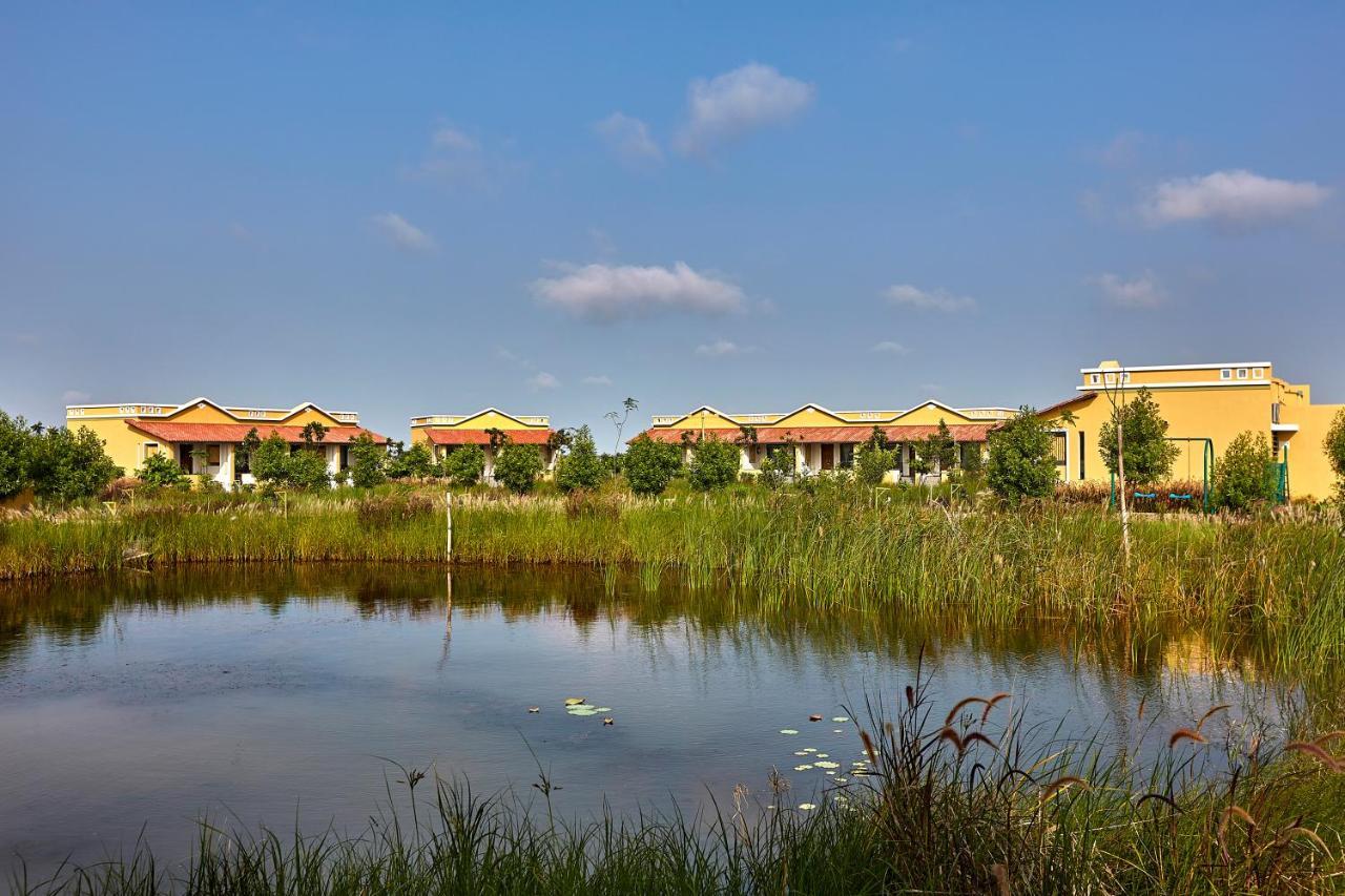 Blackbuck Safari Lodge Velavadar Bavliari Exterior foto