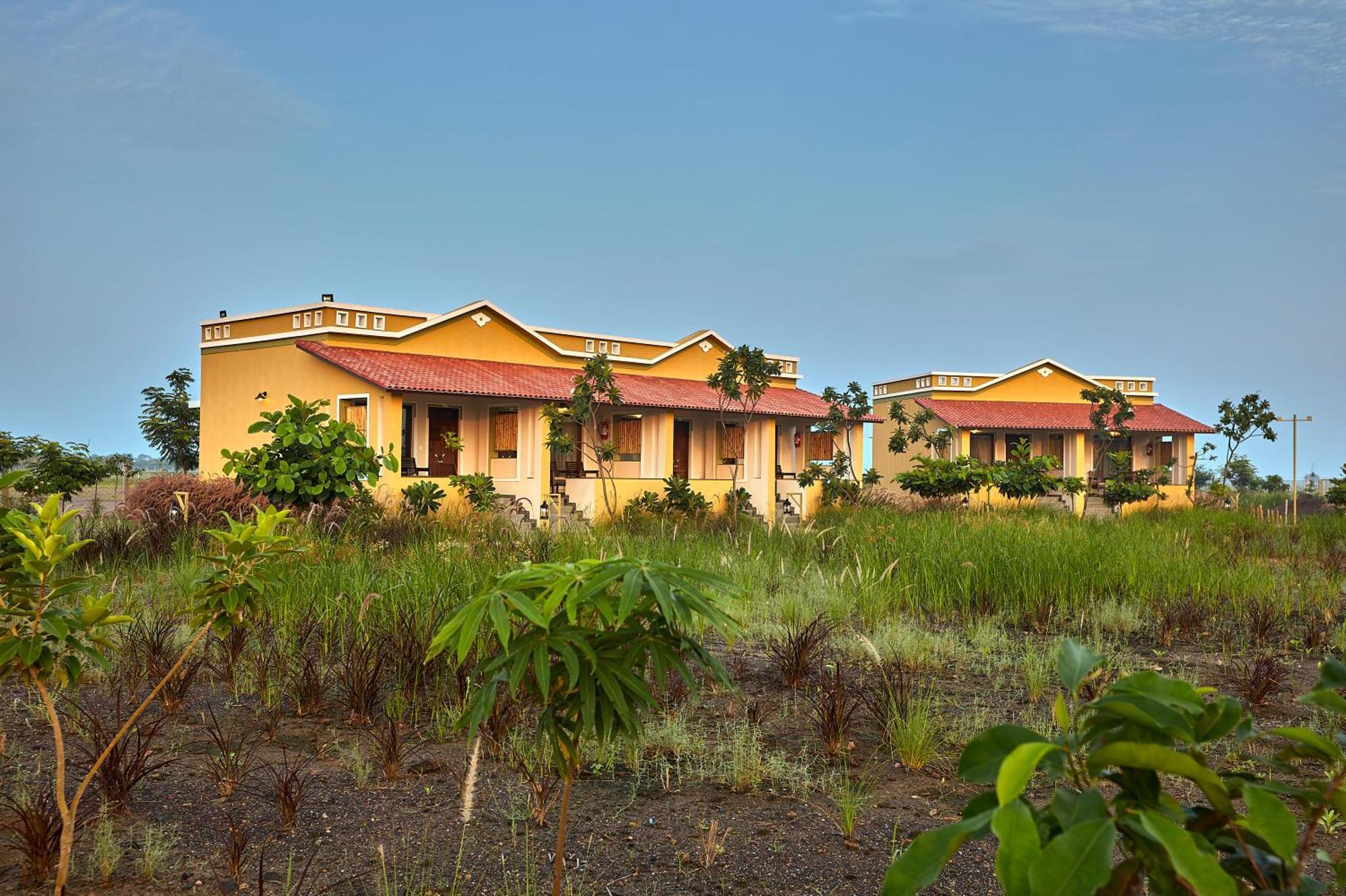 Blackbuck Safari Lodge Velavadar Bavliari Exterior foto