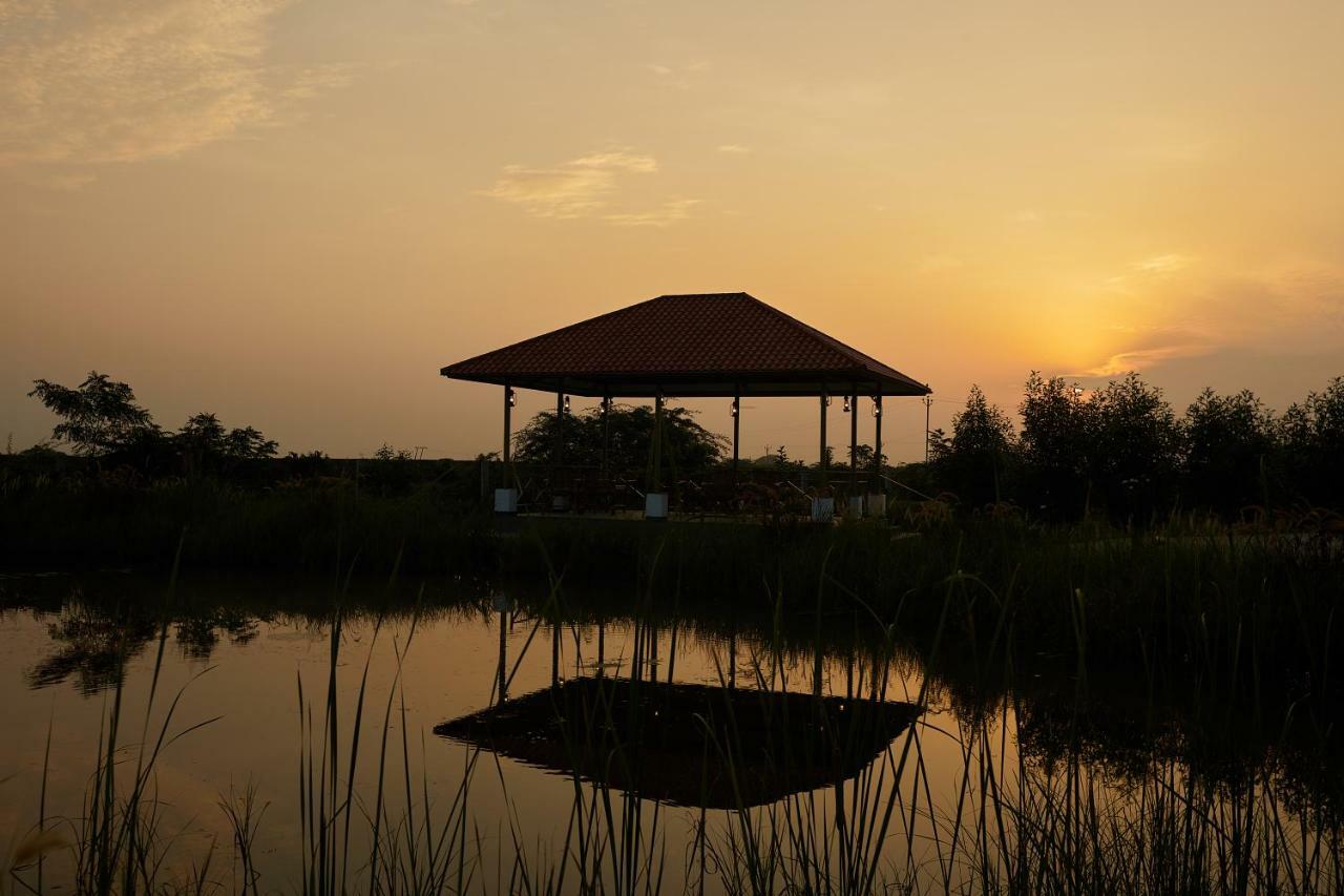 Blackbuck Safari Lodge Velavadar Bavliari Exterior foto